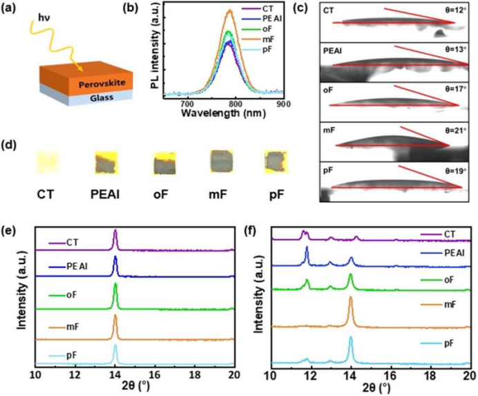 (a)用于PL测试的样品结构；对照组、PEAI处理组及o/m/p-FPEAI处理组钙钛矿薄膜的：(b)PL强度、(c)水接触角测试、(d)样品在25°C、60% RH空气中存储120天后的外观；(e)存储前样品的XRD谱图；(f) 存储120天后样品的XRD谱图