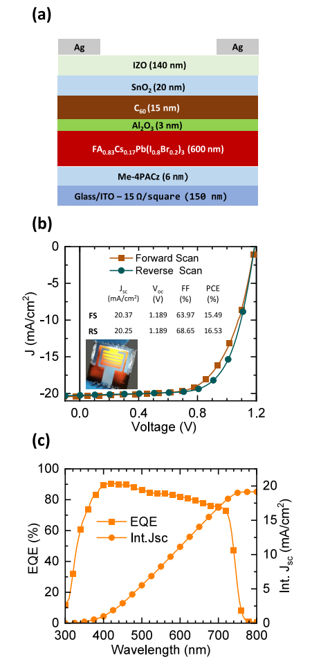 （a）电池结构图（b）PSC的FS和RS的l-v曲线（c）EQE光谱和积分短路密度曲线