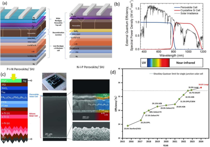 (a) N-I-P型和P-I-N型钙钛矿/硅叠层太阳能电池示意图；(b) 钙钛矿顶电池和c-Si底电池的光谱响应；(c)叠层电池截面SEM图像、钙钛矿顶电池和硅背面织构的放大图；(d) 钙钛矿/硅叠层太阳能电池的效率发展历程