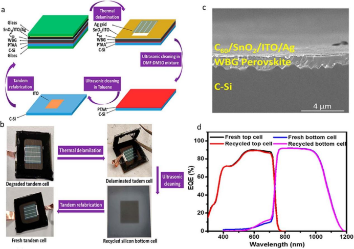 (a) 回收硅底电池的流程示意图；(b) 叠层太阳能电池回收与再制造过程示意图；(c) 重新制造的叠层器件截面SEM图像；(d) 新制备的和重新制造的叠层器件的J-V曲线和EQE（外部量子效率）光谱