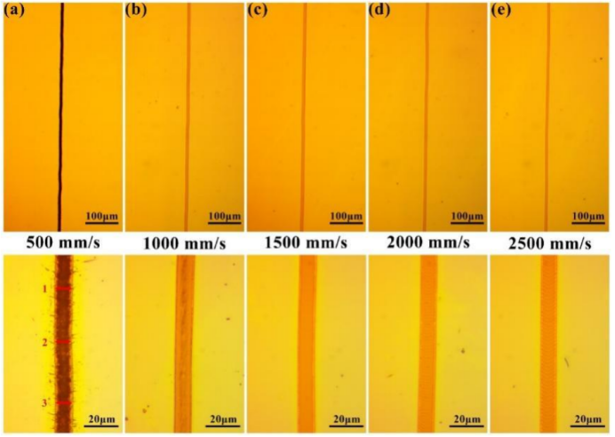 激光功率为2.4W时，不同速度下的P1划线显微图像