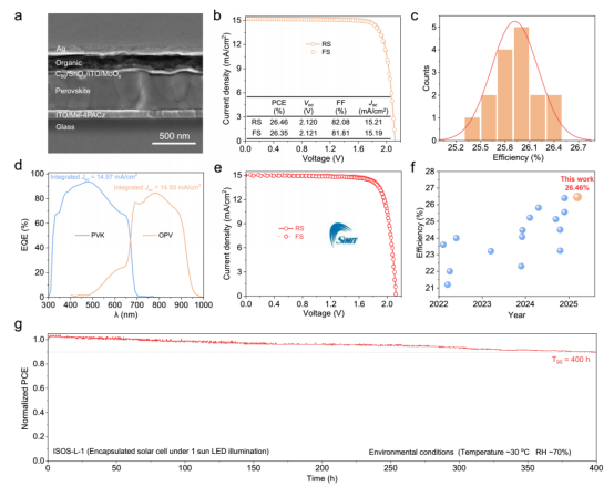 a电池的截面SEM图像;b J-V曲线（活性面积 = 0.05 cm²）;c 16个叠层电池效率的统计分布;d EQE曲线及各自的积分电流密度;e 由SIMIT认证的器件J-V曲线;f 近三年来报道的钙钛矿/有机叠层电池效率总结;g 最大功率点（MPP）跟踪稳定性测试（ISOS-L-1协议）