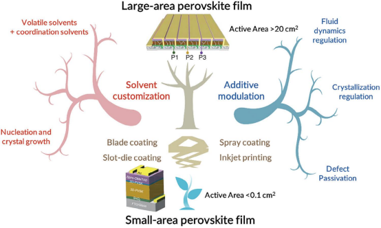 大面积钙钛矿薄膜制备过程的核心要点