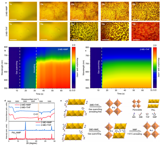退火与未退火钙钛矿薄膜的结晶过程分析a) 不同溶剂体系的原位结晶过程光学显微镜图像b, c) 退火与未退火薄膜的时间分辨原位吸收光谱d) 未退火薄膜的FTIR光谱与XRD图谱e) 不同溶剂下的钙钛矿结晶路径示意图