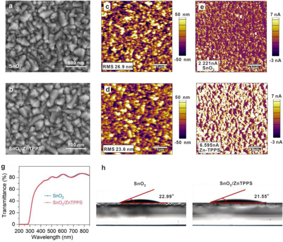 a) 未修饰SnO₂和b)ZnTPPS修饰后SnO₂的SEM图像；c) 未修饰SnO₂薄膜和d) ZnTPPS修饰后SnO₂薄膜的AFM图像；e)未修饰SnO₂薄膜和f) ZnTPPS修饰后SnO₂薄膜的C-AFM分析；g)修饰前后SnO₂薄膜的透射光谱；h)在修饰前后SnO₂薄膜上的接触角测试
