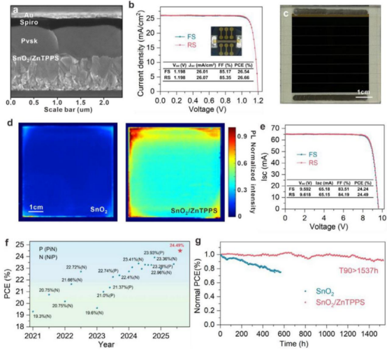 a) 器件的截面SEM图像；b) 最佳性能PSCs的正向（FS）和反向（RS）扫描J-V曲线；c) 6 × 6 cm² 钙钛矿模组（8个子电池）照片；d) 相同曝光时间下，在有无ZnTPPS处理的SnO₂基底上钙钛矿薄膜的PL mapping图；e) 最佳PSM的电流-电压（I-V）曲线；f) PSM的效率演变（与文献对比）；g) 在1个太阳光模拟照射下连续进行1537小时的最大功率点（mpp）跟踪