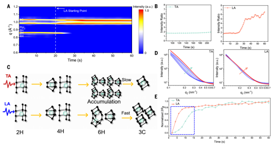 (A) 1分钟激光退火过程中的原位时间分辨GIWAXS图谱；(B) 热退火（环境无降解窗口阶段）和激光退火过程中3C:6H强度比随时间的变化；(C) 热退火和激光退火对钙钛矿相变不同影响的示意图；(D) 1分钟热退火和激光退火的原位GISAXS曲线图；(E) 热退火和激光退火过程中晶粒尺寸变化曲线