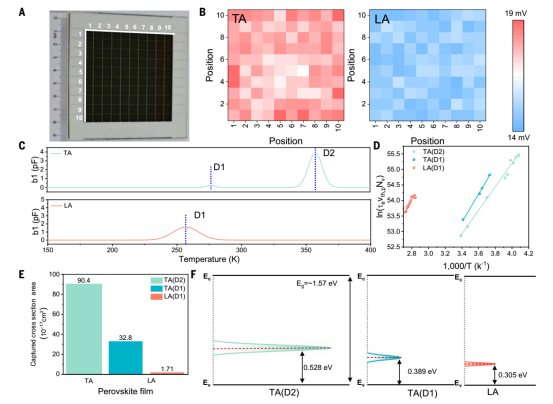 (A) 大面积钙钛矿薄膜被均匀划分为100个测量点；(B) 按(A)方法制备的TA和LA钙钛矿薄膜上100个测量点的乌尔巴赫能量测量值；(C) TA和LA器件的DLTS信号；(D) 用于识别TA和LA器件中陷阱的阿伦尼乌斯图；(E) 缺陷的相应俘获截面，代表能级俘获电子的概率；(F) 带隙内深能级陷阱的示意图