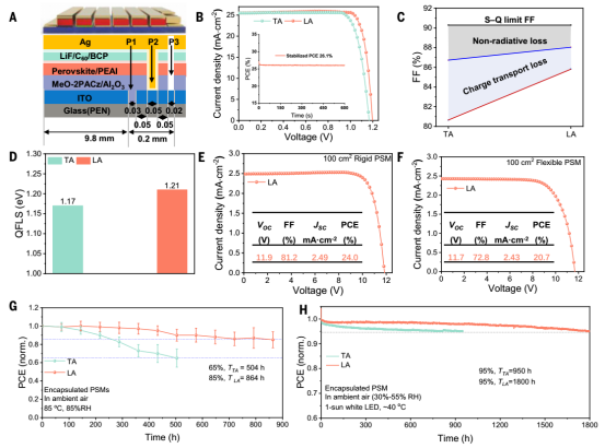 (A) PSCs和PSMs的结构示意图；(B) 1.57-eV PSCs的功率转换效率；(C) TA和LA PSCs的填充因子损失计算；(D) TA和LA PSCs的准费米能级分裂计算；(E) 1.57-eV刚性PSM的认证效率；(F) 1.57-eV柔性PSM的认证效率；(G) 加速热稳定性寿命测试[85°C, 85%相对湿度，环境空气]；(H) 连续最大功率点跟踪运行稳定性测试（光热稳定性）