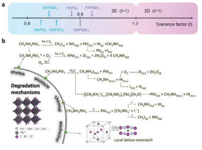 （a）不同钙钛矿组分的容差因子分布。（b）钙钛矿材料的不稳定性应力来源