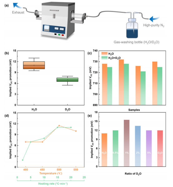 (a) 仅由洗气瓶和退火炉组成的气氛退火装置示意图;(b) 分别以超纯水和D₂O作为氢源与氘源,双面钝化样品钝化性能提升的对比,以隐含开路电压为标准;(c) 水蒸气气氛退火氢化后,通过纯D₂O处理进行二次氘补充对隐含开路电压的影响;(d) 氘化工艺中气氛退火条件的优化:温度与升温速率;(e) 使用氢/氘源混合物时,D₂O比例对隐含开路电压提升的影响