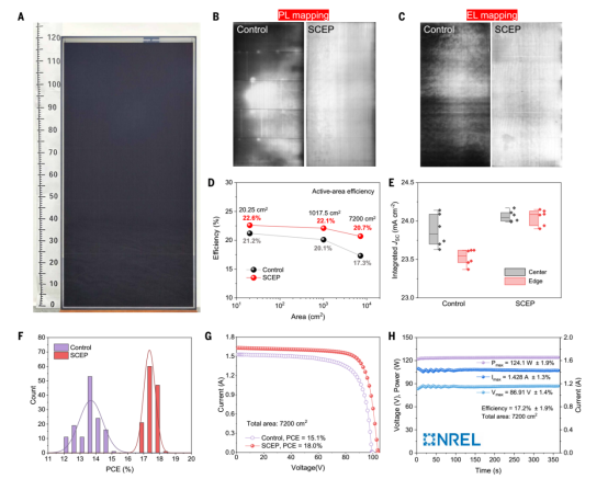 (A)组件实物图像; (B)PLmapping; (C)ELmapping ;(D) 冠军的20.25cm²、1017.5cm²和7200cm²组件的有效面积效率对比;(E) 对照和SCEP组件中心与边缘区域的积分Jsc值对比;(F) 对照和SCEP组件总面积模块PCE的统计直方图;(G) 总面积7200cm²的性能最佳对照和SCEP组件的J-V曲线;(H) NREL认证的组件在360秒内的稳定Pmax、Imax和Vmax曲线图