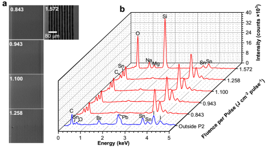 a P2刻划的SEM俯视图；b EDX光谱瀑布图