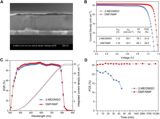 (A)DMF/NMP体系PSC的横截面SEM图像。(B)2-ME/DMSO和DMF/NMP体系最优器件的J-V特性曲线。(C)两种体系器件的EQE曲线，反映不同波长光子的光电转换能力。(D)环境条件下，两种体系油墨的老化时间与对应电池功率转换效率（PCE）的关系曲线