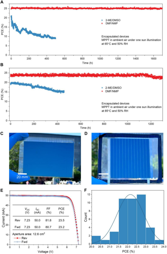 (A)最大功率点（MPP）跟踪稳定性测试结果，初始PCE分别为20.7%（2-ME/DMSO）和25.3%（DMF/NMP）。(B)MPP跟踪稳定性测试结果，初始PCE分别为19.6%（2-ME/DMSO）和23.2%（DMF/NMP）(C)采用刮涂法在大面积ITO基板上制备的Cs₀.₁FA₀.₉PbI₃钙钛矿薄膜照片。(D)孔径面积为63.2cm²的封装钙钛矿迷你组件照片。(E)J-V曲线。(F)PCE分布情况