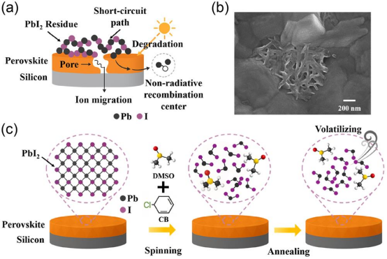 (a) PbI₂残留导致孔隙生成、非辐射复合、短路路径及离子迁移的示意图(b)晶界处PbI₂聚集的SEM图像(c) DMSO与CB协同作用下PbI₂去除示意图；PbI₂在旋涂过程中溶解，在热退火过程中溶剂蒸发