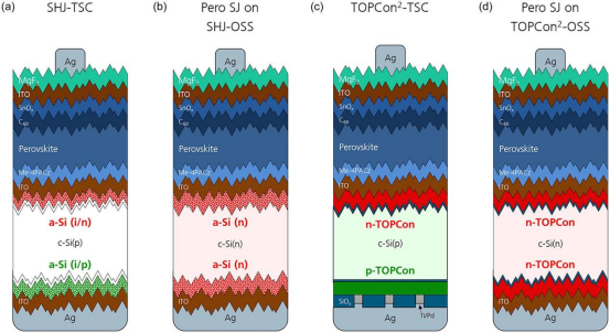 (a)硅异质结叠层太阳能电池和(c)TOPCon²叠层太阳能电池的电池结构设计，以及(b)在硅异质结欧姆硅衬底和(d)TOPCon²欧姆硅衬底上的钙钛矿单结太阳能电池结构