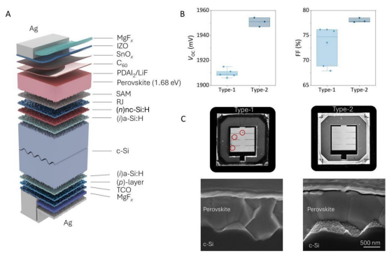 A. 单片钙钛矿-硅叠层器件示意图。B. 采用不同底电池的叠层器件的开路电压（VOC）和填充因子（FF）。C. 相应器件的光致发光（PL）图像和截面扫描电子显微镜（SEM）显微照片