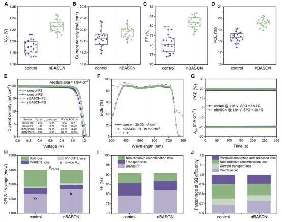 A–D 对照组与nBASCN干预器件的光伏参数统计分布，E 冠军不透明器件（1.044 cm²）的J-V曲线，F 冠军器件的EQE谱，G 冠军器件在MPP的稳态功率输出，H 从纯钙钛矿、HTL/钙钛矿及HTL/钙钛矿/ETL结构的PL谱提取的准费米能级分裂（QFLS）值，I 器件的FF损失分析，J 器件的功率损失分析