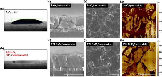 （a）ITO/SnO₂与（b）ITO/PEI:SnO₂薄膜的接触角图像（c,d）分别在ITO/SnO₂与（d,f）ITO/PEI:SnO₂衬底上沉积的钙钛矿薄膜的截面SEM图像（e,f）相应的表面SEM图像（g,h）分别为在ITO/SnO₂与ITO/PEI:SnO₂衬底上涂覆的钙钛矿薄膜的导电AFM图像