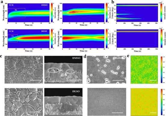 (a)真空淬火与退火过程中的原位PL光谱(b)不同退火时间下DMSO与DESO处理钙钛矿薄膜的原位X射线衍射图谱(c)钙钛矿薄膜表面与截面扫描电镜图像(d)从玻璃基底剥离的刮涂钙钛矿薄膜之界面扫描电镜图像(e) 钙钛矿薄膜的PL mapping图