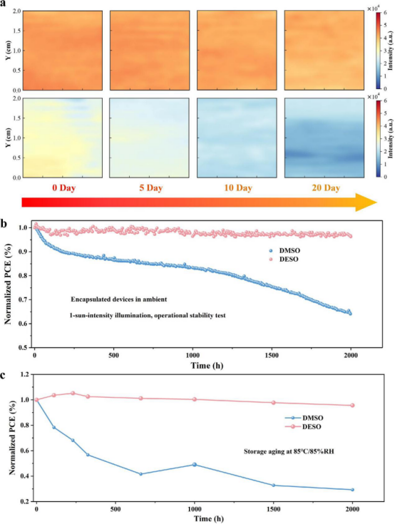 (a)老化20天后DMSO与DESO薄膜的PL mapping(b) 25°C下模组的最大功率点跟踪稳定性(c) 85°C/85% RH湿热条件下模组的长期稳定性曲线