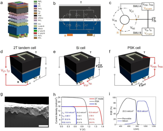 （a）3T叠层太阳能电池的电池结构（b）2T和3T结构的相应等效电路（c）迭代测量循环的示意图（d–f）3T架构的示意图（g）横截面SEM图像（h）冠军3T叠层电池的顶电池和底电池的电流-电压特性，以及2T叠层电池的结果（i）叠层电池中钙钛矿和硅子电池的相应外量子效率光谱，以及对应子电池的积分JSC