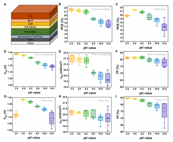 （A）展示的1.67 eV单结钙钛矿太阳能电池结构示意图。使用不同pH值（通过含水法（B）和无水法（C）调节）的Me-4PACz前驱体制备的太阳能器件的PCE分布。使用不同pH值（通过含水法（D和E）和无水法（G-I）调节）的Me-4PACz前驱体的同一批器件（每种类型10个）的（D和G）开路电压（Voc）、（E和H）短路电流密度（Jsc）和（F和I）填充因子（FF）分布