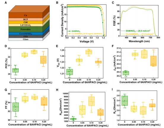 （A）展示的单结钙钛矿太阳能电池结构示意图。（B）使用最佳浓度6AHPACl添加到Me-4PACz前驱体的SAM与共-SAM策略的冠军器件的光态J-V曲线。（C）使用SAM和共-SAM策略的代表性电池的EQEs及积分电流密度。使用不同浓度6AHPACl添加到Me-4PACz前驱体（每种类型10个）制备的多个器件的（D）PCE、（E）开路电压、（F）短路电流密度、（G）FF、（H）并联电阻和（I）串联电阻分布