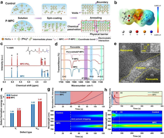 MPC 的相互作用机制与结晶调控