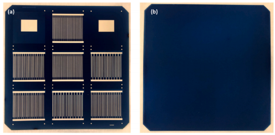 IBC电池正反面实物图