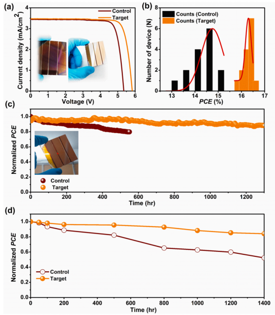 (a) PSM在光照下的J-V曲线（反向扫描），(b) PSM的可重复性，(c)对照和目标PSC在1倍太阳光照射下、短路条件下连续光照浸泡，数据每10秒自动采集一次，(d)环境气氛中含对照和目标PSC的归一化效率