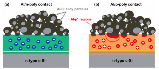 Al/poly-Si界面反应机理示意图